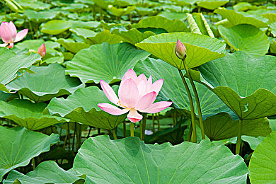 葵千惠电影：葵千惠电影：沉浸式解谜游戏，探索电影奥秘，挑战你的视觉与思维-2