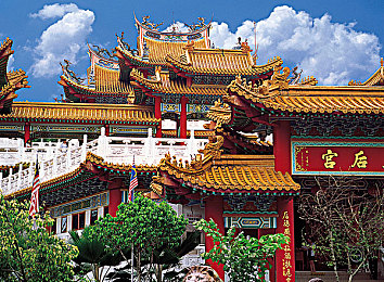 99er精彩：《穿越火线》99er风采：揭秘极致竞技快感背后的高手之路