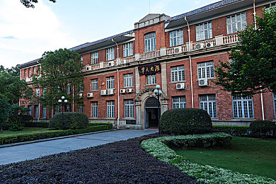 www一人：《www一人》独闯孤岛，沉浸式冒险之旅引玩家热议-1