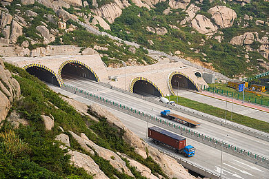 免费被 黄漫游戏：成人情感迷宫：探索“免费被”游戏的成人世界魅力-2