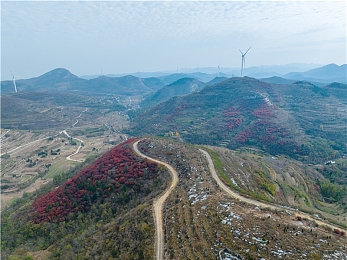 黄色视频软件下载3.0.3：网络陷阱揭秘：警惕“黄色视频下载”风险-1