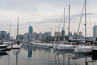 青楼传媒91：青少年之路与网络内容的挑战与前景-2