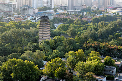 亚洲国产精品久久久：亚洲崛起：消费、娱乐与科技的变革之路