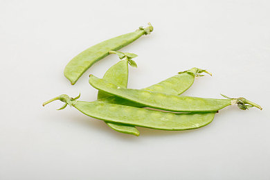 毛茸茸的牝户：毛茸茸世界奇幻冒险，探寻神秘宝藏的冒险之旅-2