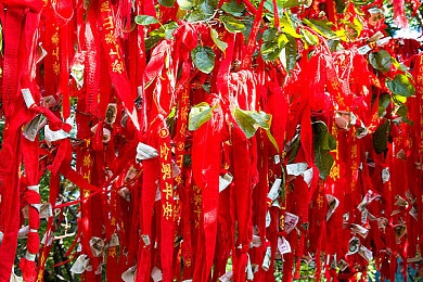 被按摩师弄到高潮：按摩风云：守护顾客权益，共筑和谐服务-4