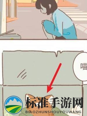 《遇见你的猫》猫咪变身过程